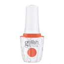 COLECCION ESMALTE GEL 15ML SP25 C/6 1130096